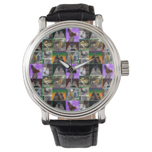 Montre Plumes en vedette : Un collage de coqs de poulet