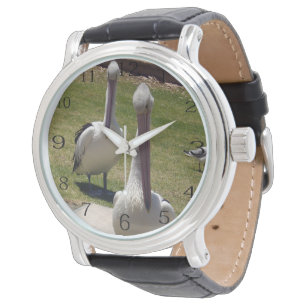 Montre Plumes Ruffées : Pélicans Avec Une Attitude,