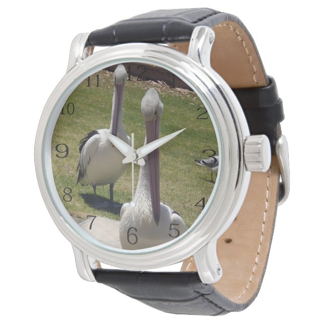 Montre Plumes Ruffées : Pélicans Avec Une Attitude, (Incliné)