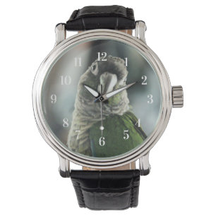 Montre Plus de faux hérisson