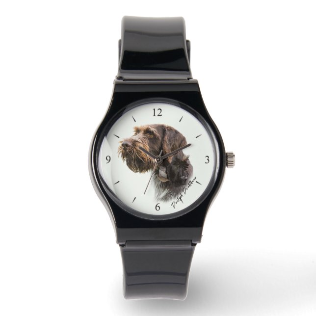 Montre Pointer à poil dur allemand (Recto)