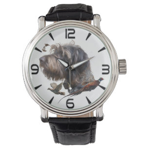 Montre Pointeur À poils durs allemand
