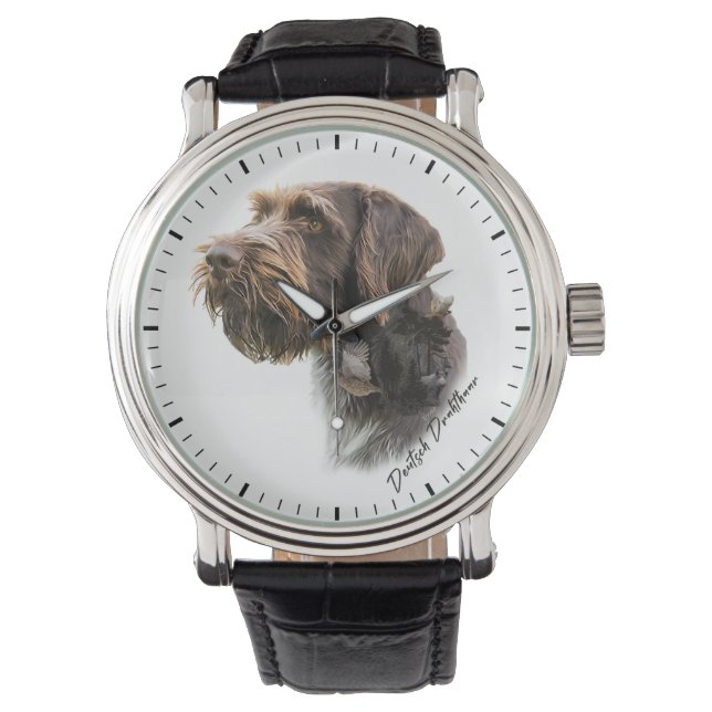 Montre Pointeur À poils durs allemand (devant)