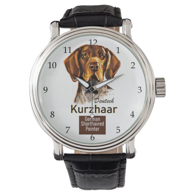 Montre Pointeur allemand à courte longueur Kurzhaar (devant)