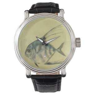 Montre Poisson Alectis indicus, Carangue à trois épines v