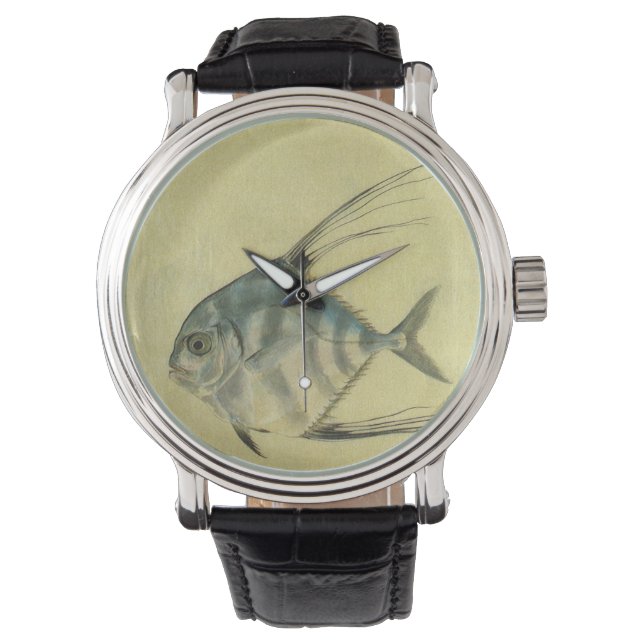 Montre Poisson Alectis indicus, Carangue à trois épines v (devant)