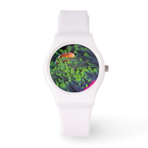 Montre Poisson Anémone se Cachant dans une Anémone, Mozam