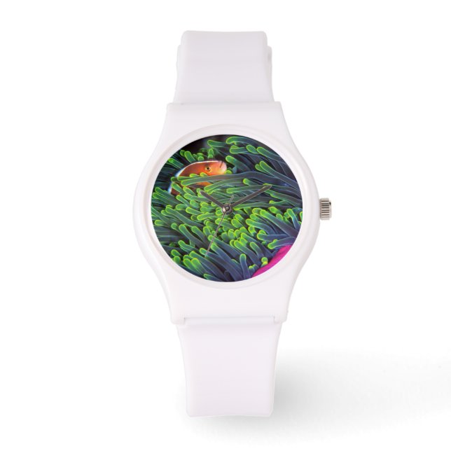 Montre Poisson Anémonique Caché En Anémone, Mozambique 2 (Recto)