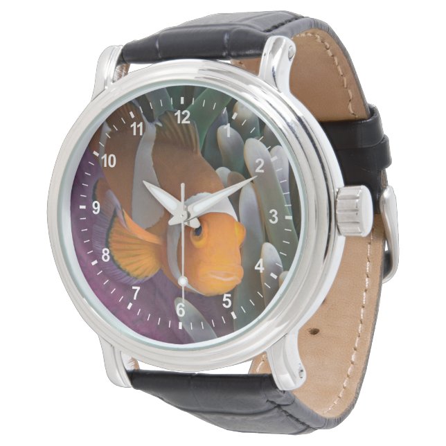 Montre Poisson clown occidental (Incliné)