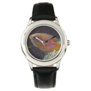 Montre Poisson nain Gourami