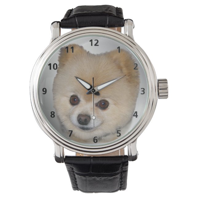 Montre Pomeranian Dog (devant)
