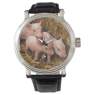 Montre Porcelets