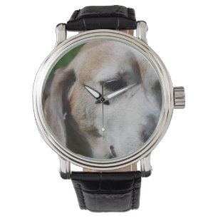 Montre Portrait beagle