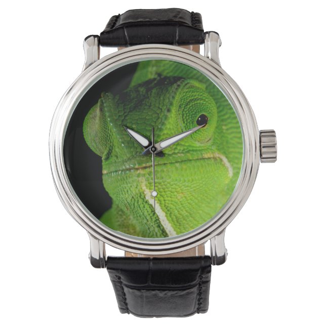 Montre Portrait de caméléon à cou plat (devant)