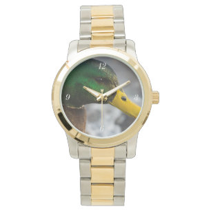 Montre Portrait de Canard Colvert Mâle