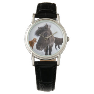 Montre portrait de cheval islandais, Islande