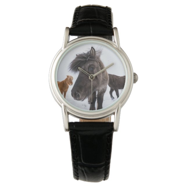 Montre portrait de cheval islandais, Islande (devant)