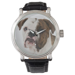 Montre Portrait de chiot mignon de bouledogue