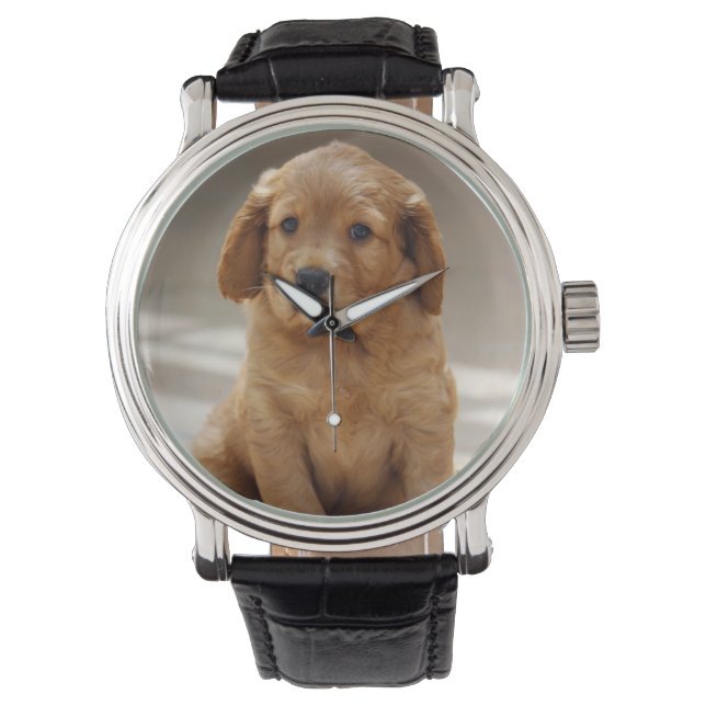 Montre Portrait de chiot mignon photo (devant)