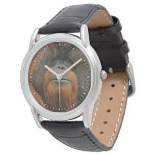 Montre Portrait de mâle orang-outan, Géorgie, États-Unis
