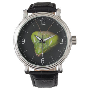 Montre Portrait de mante en prière