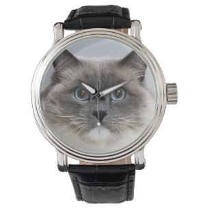 Montre Portrait de Ragdoll
