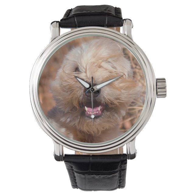 Montre Portrait de Terrier roux à revêtement souple (devant)