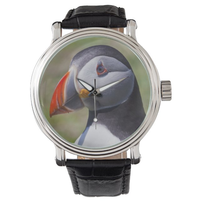 Montre Portrait Puffin (devant)