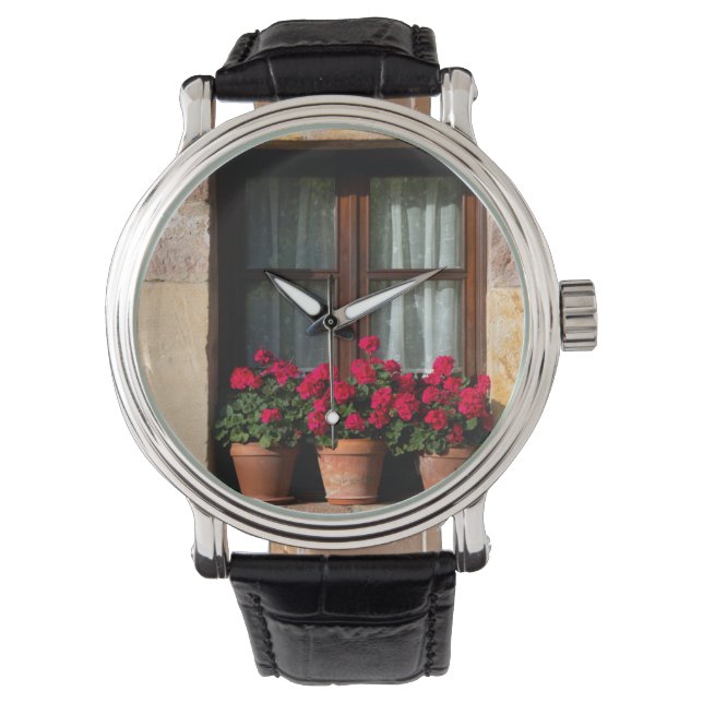 Montre Pots de fleurs de fenêtre dans le village (devant)