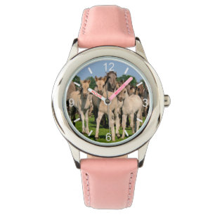 Montre Poulains sauvages de chevaux de Grullo Dulmen de