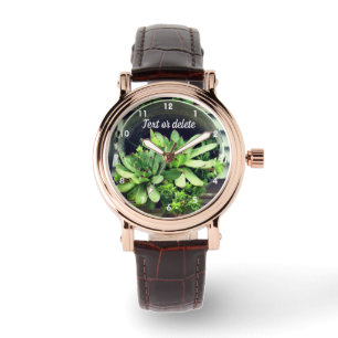 Montre Poules Et Poussins Succulent Dans Le Seau Personna