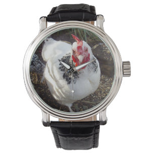 Montre Poulet Sussex noir blanc,