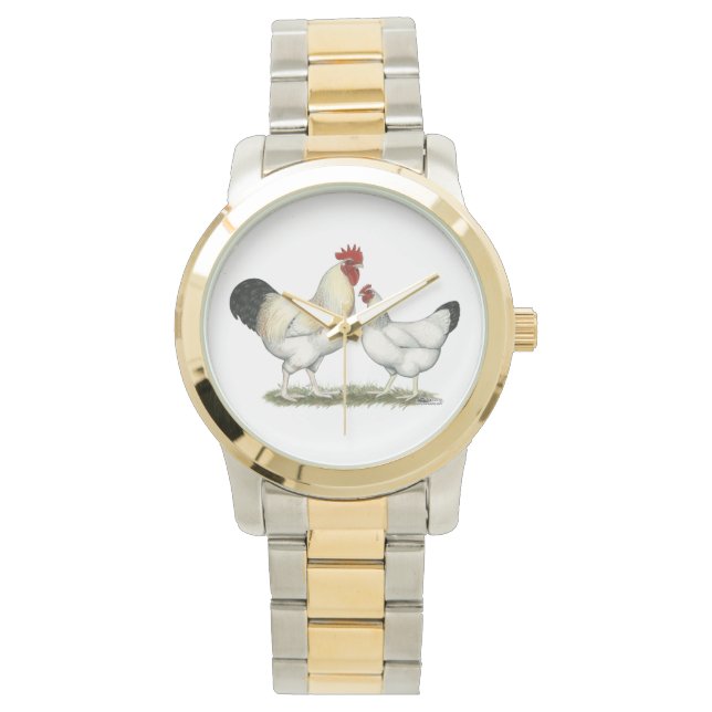 Montre Poulets de la rivière Indian (devant)