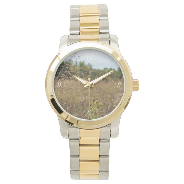 Montre Prairies surcultivées (devant)