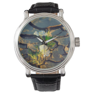 Montre Primevère des dunes poussant hors de boue fissurée