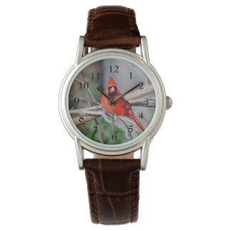 Montre Printemps cardinal