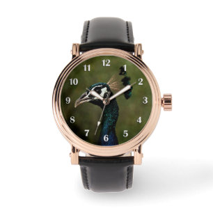 Montre Profil des nombres blancs de paon