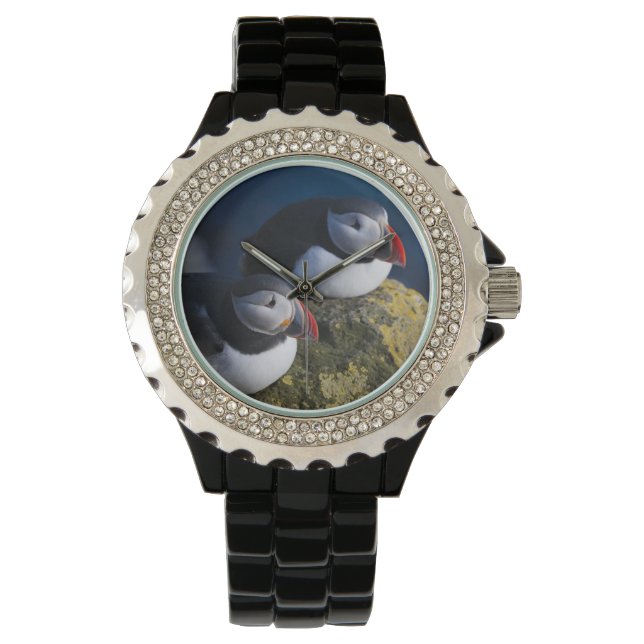 Montre Puffin atlantique (Fratercula arctica) 7 (devant)
