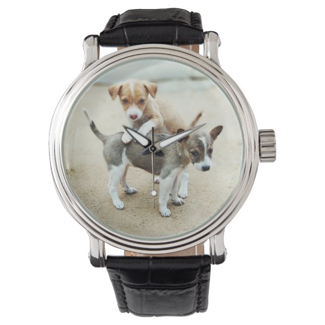 Montre Puppies mignonnes jouer sur la plage (devant)