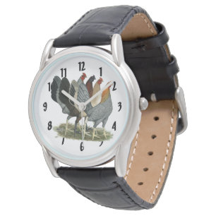 Montre Quatre poules de Gamefowl