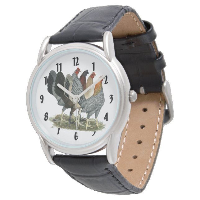Montre Quatre poules de Gamefowl (Incliné)