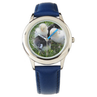 Montre Quatre poussins de poulet noir et jaune