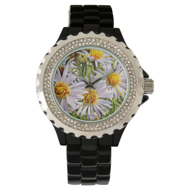 Montre Quatre salades (devant)