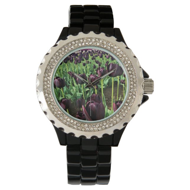 Montre Queen of the Night Tulips, Oregon (devant)