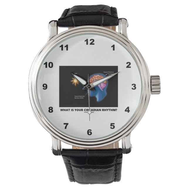 Montre Quel Est Votre Rythme Circadien ? (devant)