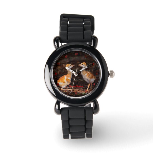 Montre Qui est plus grand ? Poussins de graine de Sandhil (Recto)