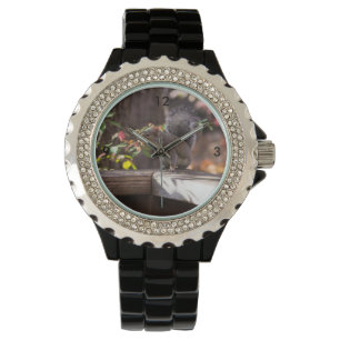 Montre Qui Va Là-Bas