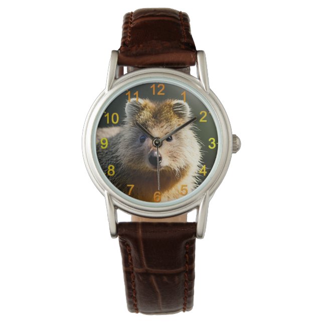 Montre Quintin The Ginger Quokka, Wrist Watch (devant)