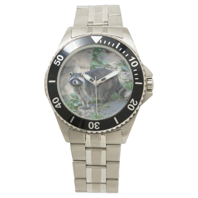 Montre Raccoon (devant)