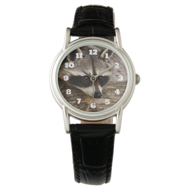 Montre Raccoon mignon reposant sur un journal (devant)